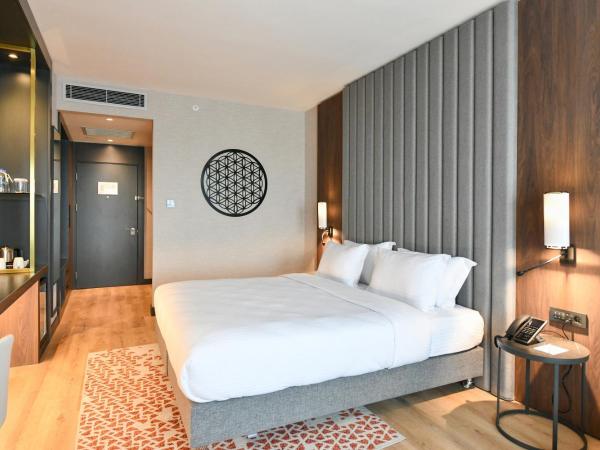 Crowne Plaza Ankara, an IHG Hotel : photo 2 de la chambre premium king room with lounge access - non-smoking