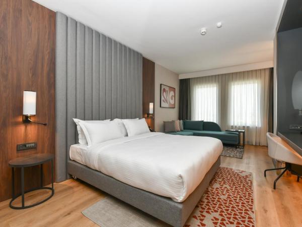 Crowne Plaza Ankara, an IHG Hotel : photo 5 de la chambre premium king room with lounge access - non-smoking