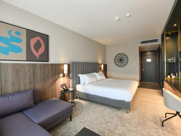 Crowne Plaza Ankara, an IHG Hotel : photo 3 de la chambre chambre lit king-size standard - non-fumeurs 