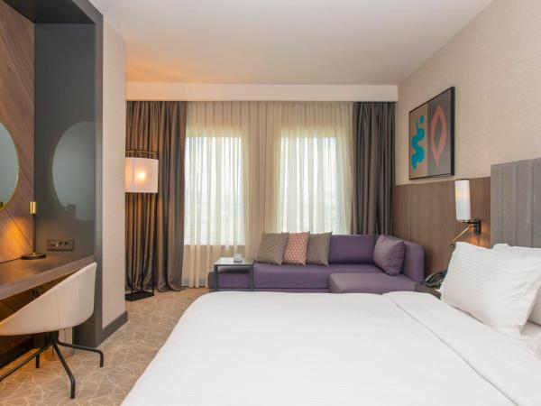 Crowne Plaza Ankara, an IHG Hotel : photo 4 de la chambre chambre lit king-size standard - non-fumeurs 