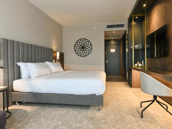 Crowne Plaza Ankara, an IHG Hotel : photo 2 de la chambre chambre lit king-size standard - non-fumeurs 