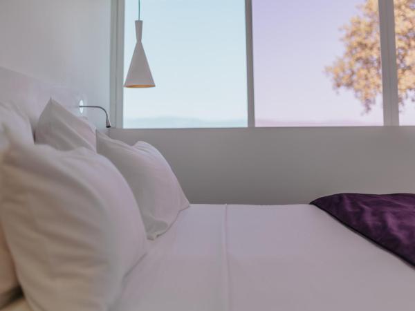 Le Meez : photo 7 de la chambre chambre double