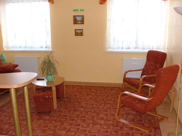 Dom Gościnny Pod Brzozami : photo 9 de la chambre studio