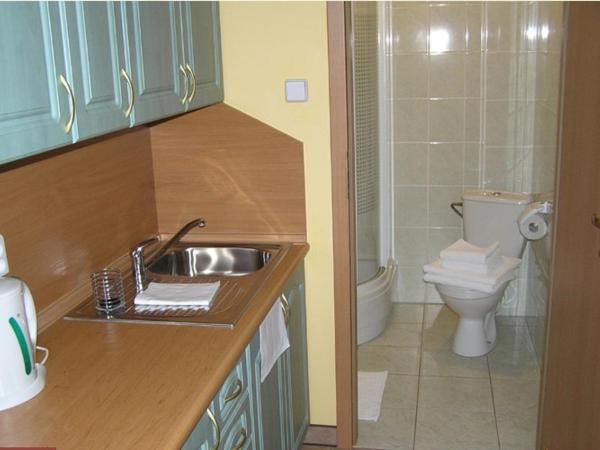 Dom Gościnny Pod Brzozami : photo 5 de la chambre studio