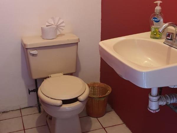 Hostal Don Diego : photo 3 de la chambre lit simple dans dortoir mixte