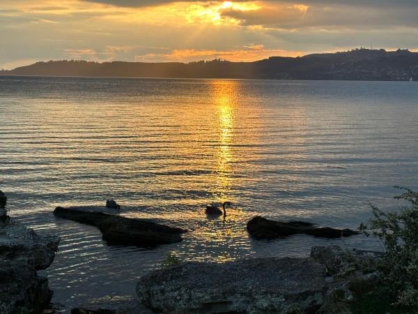 Baycourt Lakefront Motel : photo 7 de la chambre suite familiale avec bain à remous
