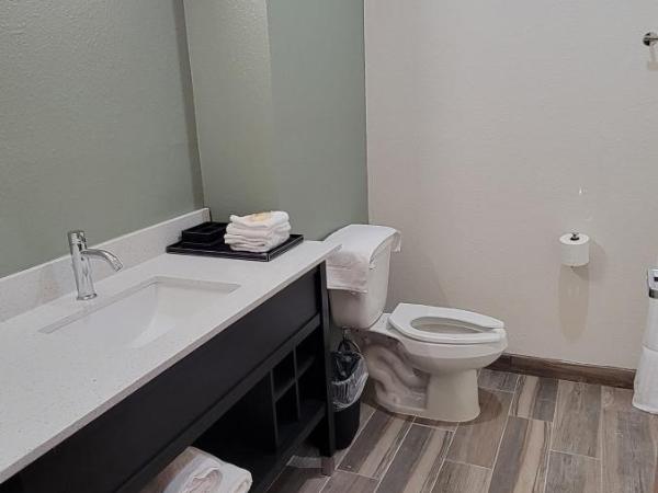 Americas Best Value Inn San Antonio Downtown Riverwalk : photo 6 de la chambre chambre double avec 2 lits doubles