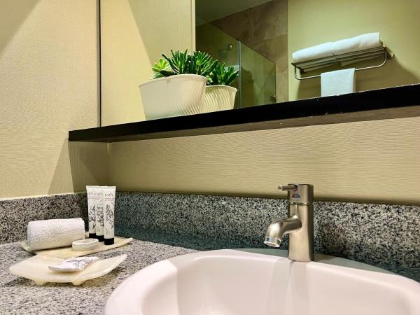 Stadia Suites Mexico City Santa Fe : photo 9 de la chambre chambre lit king-size deluxe