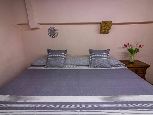 Hotel Cantera Rosa : photo 4 de la chambre studio avec mezzanine