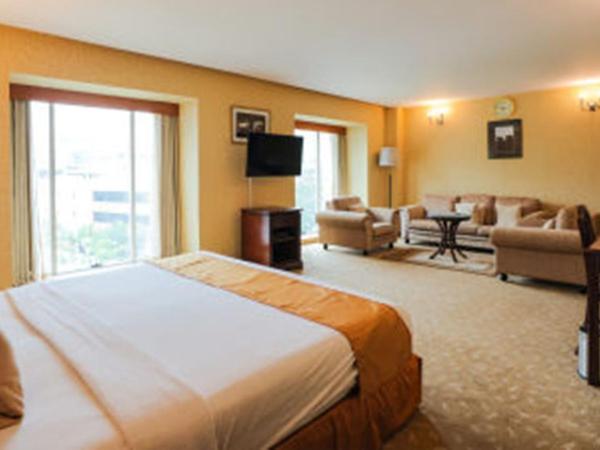 MGM Mark Whitefield : photo 2 de la chambre suite grandeur