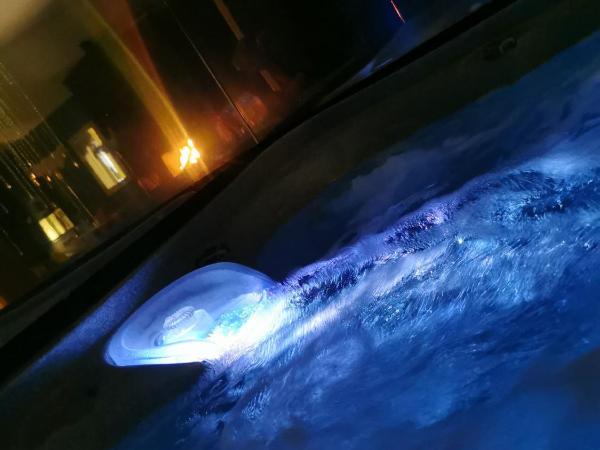 Hacienda LA Demeure : photo 7 de la chambre suite avec jacuzzi