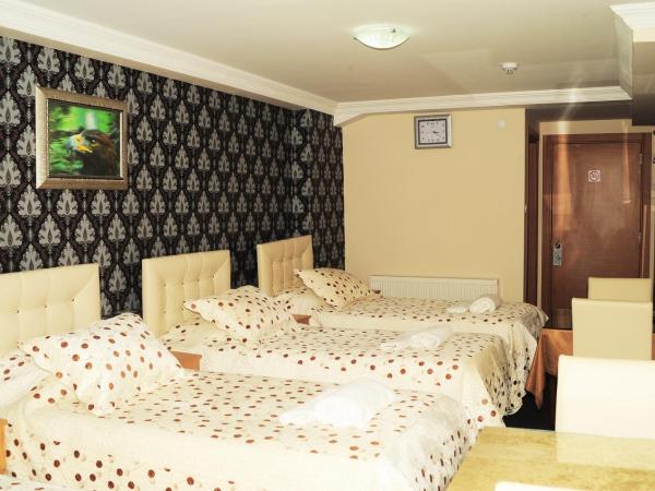 Kervan Hotel Pendik : photo 3 de la chambre chambre quadruple