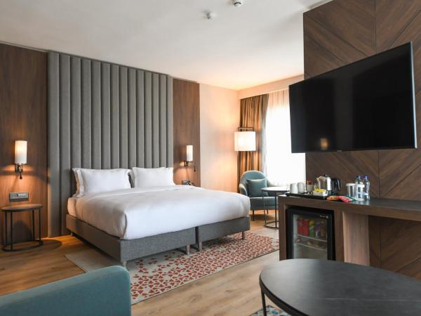 Crowne Plaza Ankara, an IHG Hotel : photo 2 de la chambre suite junior lit king-size - non-fumeurs