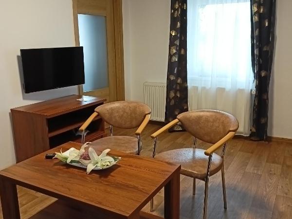 Penzion Villa Marion : photo 3 de la chambre suite junior