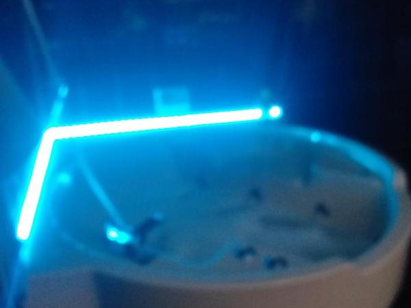 Executive center rooms : photo 8 de la chambre chambre lit king-size avec baignoire spa