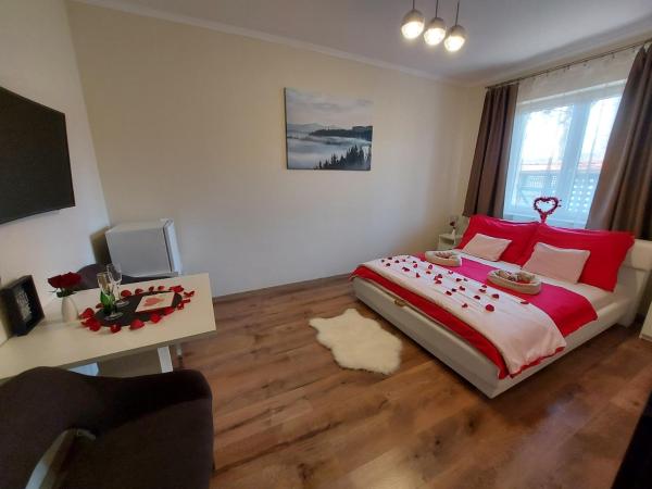 Borostyán Panzió : photo 2 de la chambre chambre double avec salle de bains privative