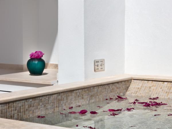Pazziella Garden & Suites : photo 7 de la chambre suite junior avec baignoire spa et terrasse