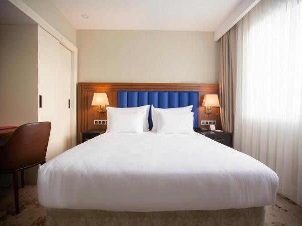Ramada Plaza Sultanahmet : photo 2 de la chambre chambre simple supérieure