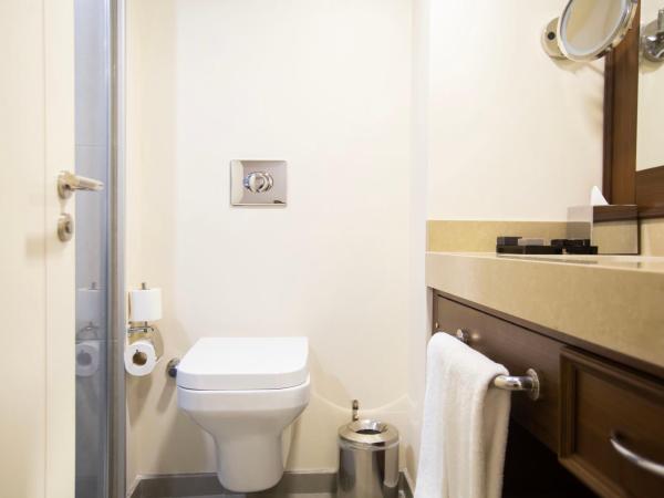 Ramada Plaza Sultanahmet : photo 6 de la chambre chambre lits jumeaux supérieure