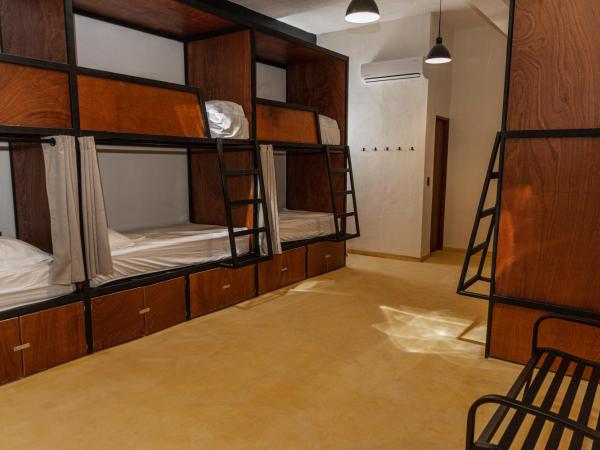 Caleta Hostel Rooftop & Pool : photo 2 de la chambre lit dans dortoir de 8 lits