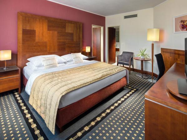 Quality Hotel Brno Exhibition Centre : photo 1 de la chambre suite exécutive