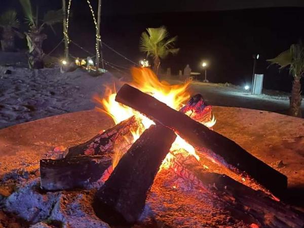 Camp Cameleon : photo 1 de la chambre tente