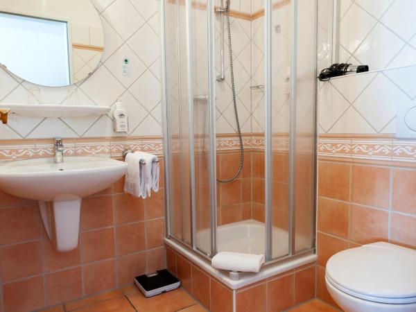 Hotel zum Kuhhirten : photo 5 de la chambre chambre simple standard 