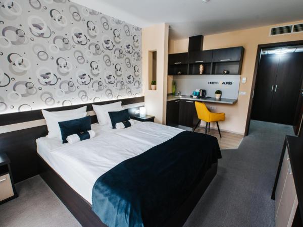 Hotel Auris : photo 2 de la chambre chambre double ou lits jumeaux standard