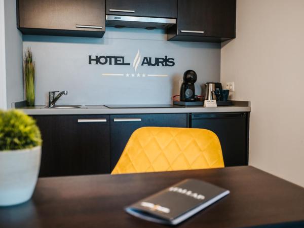 Hotel Auris : photo 7 de la chambre chambre double supérieure