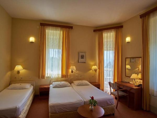 Hotel Vila Ružica- glavna zgrada i depandanse : photo 3 de la chambre chambre triple standard