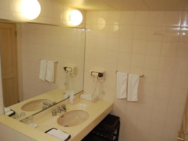 Luke Plaza Hotel : photo 3 de la chambre chambre non-fumeurs - vue sur jardin 