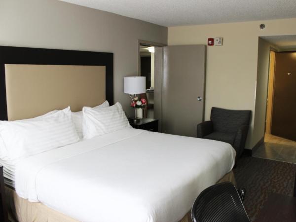 Holiday Inn Hotel Atlanta-Northlake, a Full Service Hotel : photo 4 de la chambre chambre lit king-size - non-fumeurs
