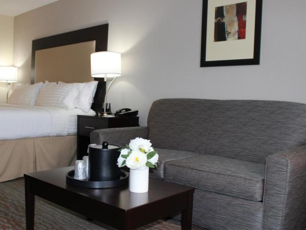 Holiday Inn Hotel Atlanta-Northlake, a Full Service Hotel : photo 5 de la chambre chambre lit king-size - non-fumeurs