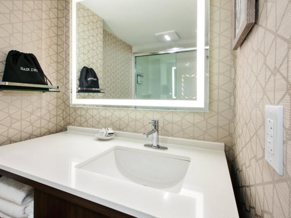 Holiday Inn Va Beach-Oceanside 21st St, an IHG Hotel : photo 5 de la chambre chambre lit king-size standard