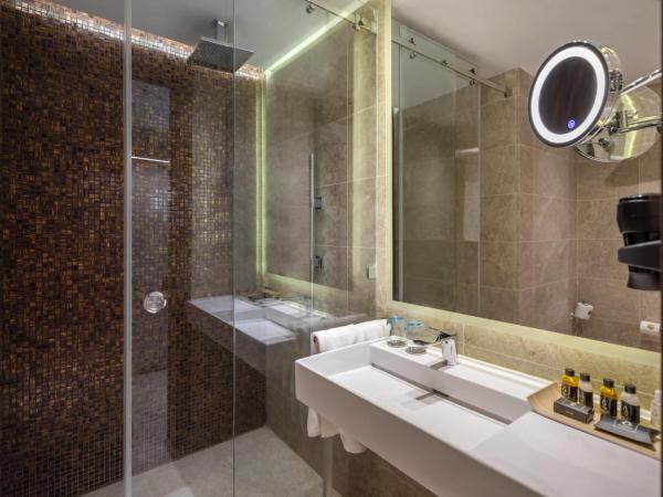 Hotel Royal ASBU Tunis : photo 3 de la chambre chambre double deluxe avec douche