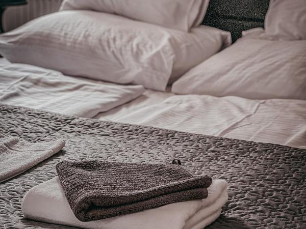 Végvári Hotel Eger : photo 9 de la chambre suite familiale