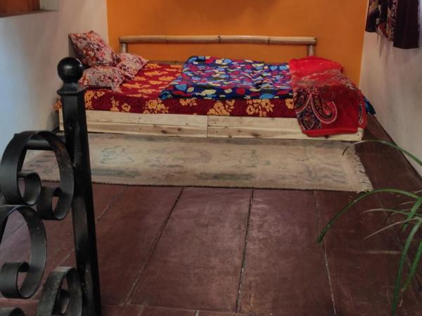 Laughing Buddha Guest House & Villa : photo 3 de la chambre villa - vue sur jardin