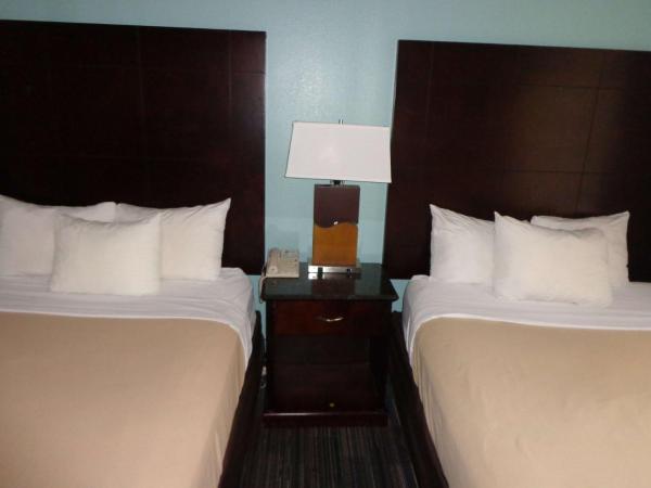 SureStay Plus by Best Western Orlando Lake Buena Vista : photo 5 de la chambre suite avec 2 lits doubles et canapé-lit - baignoire/accessible aux personnes à mobilité réduite