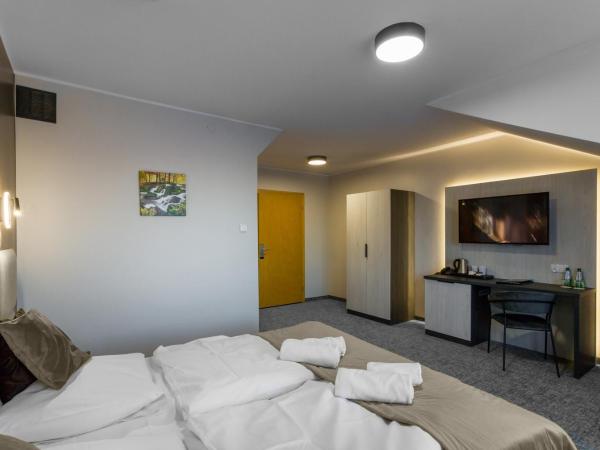 Pensjonat Śnieżka SPA : photo 2 de la chambre chambre double ou lits jumeaux