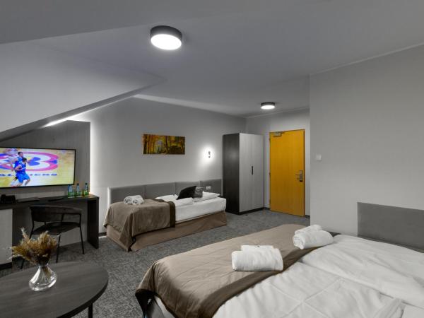 Pensjonat Śnieżka SPA : photo 4 de la chambre chambre triple