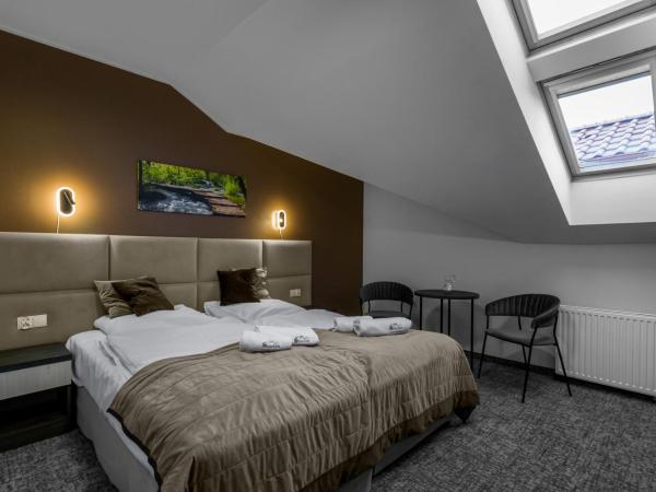 Pensjonat Śnieżka SPA : photo 1 de la chambre double room without balcony (rooftop windows)