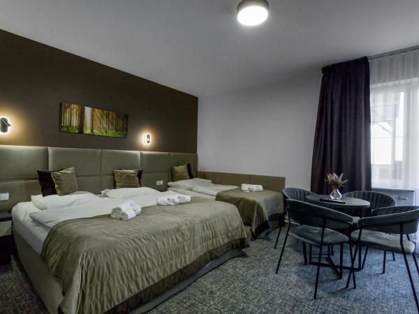 Pensjonat Śnieżka SPA : photo 2 de la chambre chambre quadruple