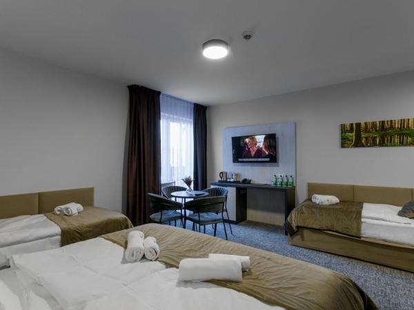 Pensjonat Śnieżka SPA : photo 3 de la chambre chambre quadruple