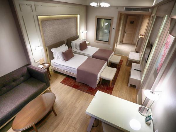 The Green Park Ankara : photo 3 de la chambre chambre lits jumeaux deluxe