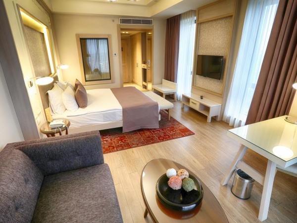 The Green Park Ankara : photo 6 de la chambre chambre double deluxe