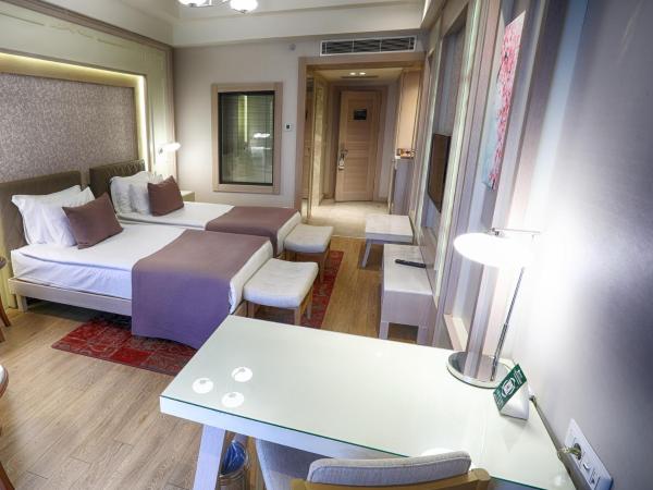 The Green Park Ankara : photo 4 de la chambre chambre lits jumeaux standard