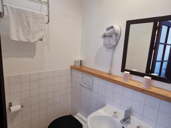 Hotel La Résidence Manoir De La Salamandre : photo 6 de la chambre chambre double avec douche