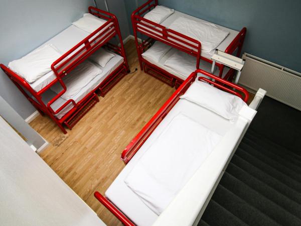 Astor Hyde Park Hostel : photo 5 de la chambre lit dans dortoir mixte de 12 lits avec salle de bains privative 