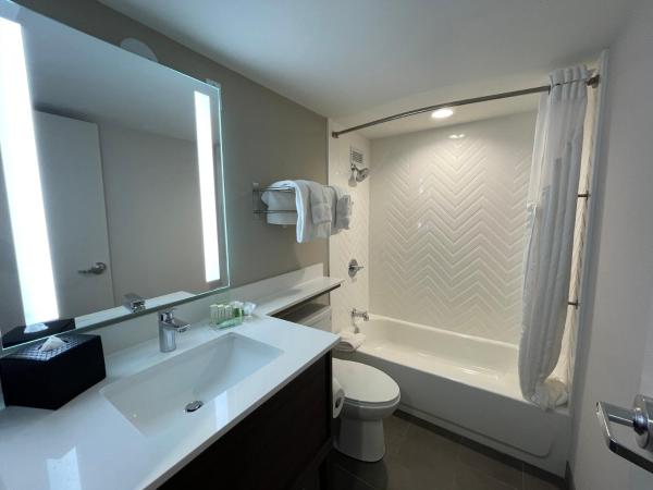 Holiday Inn Hotel & Suites Chicago - Downtown, an IHG Hotel : photo 4 de la chambre chambre standard