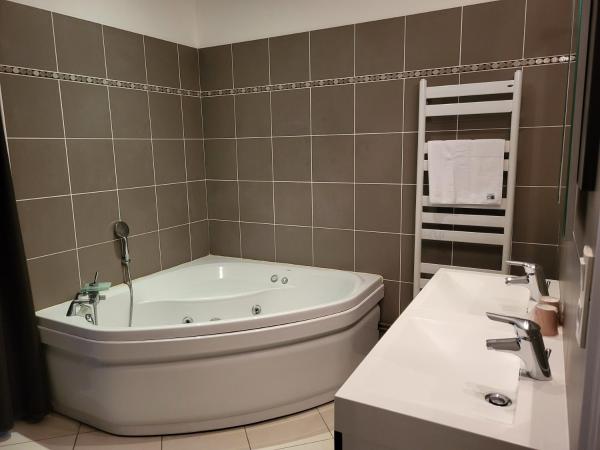 Chambres d'Hôtes La petite Salamandre : photo 5 de la chambre studio